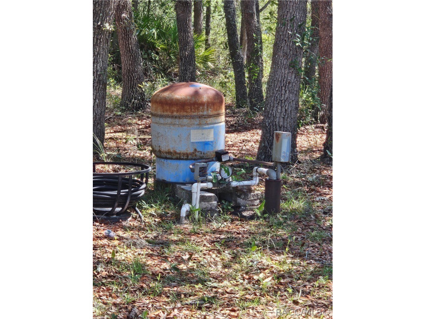 Enjoy the Privacy of This Completely Fenced 1.64 Acre Parcel - photo 4
