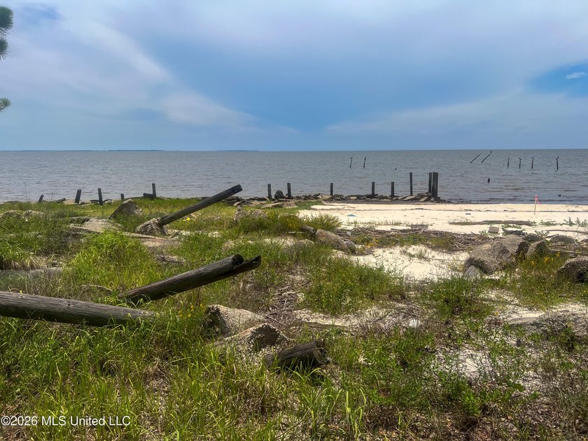 Rare opportunity to own two lots on scenic Belle Fontaine Drive - photo 3