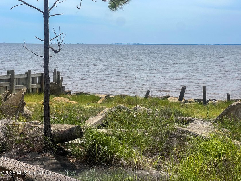 Rare opportunity to own two lots on scenic Belle Fontaine Drive - photo 4