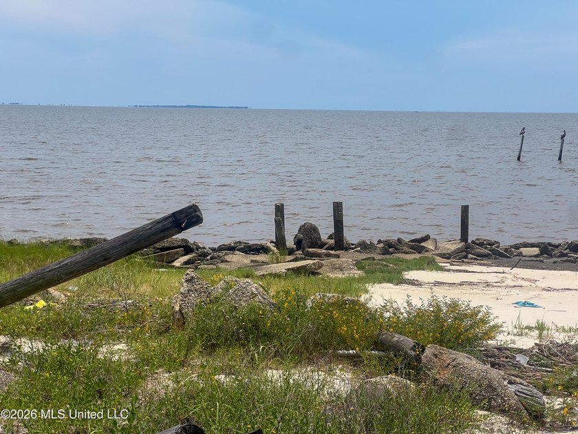 Rare opportunity to own two lots on scenic Belle Fontaine Drive - photo 5