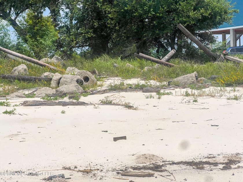 Rare opportunity to own two lots on scenic Belle Fontaine Drive - photo 7