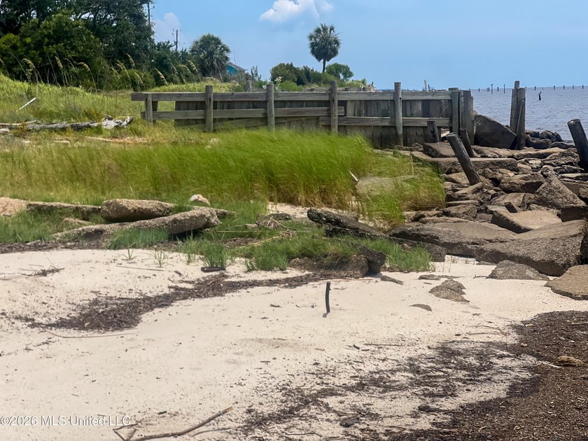 Rare opportunity to own two lots on scenic Belle Fontaine Drive - photo 8