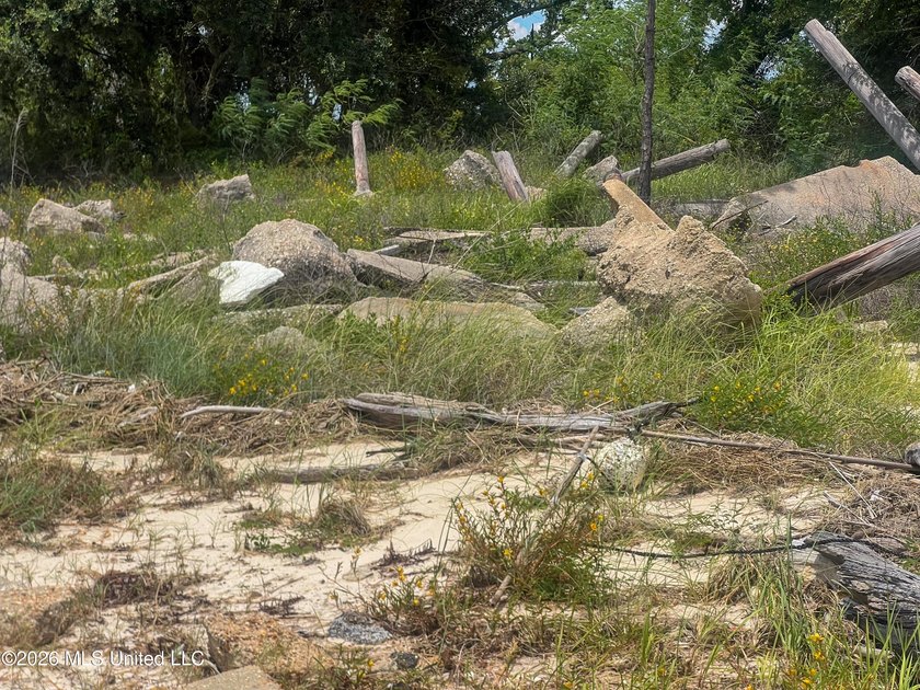 Rare opportunity to own two lots on scenic Belle Fontaine Drive - photo 10