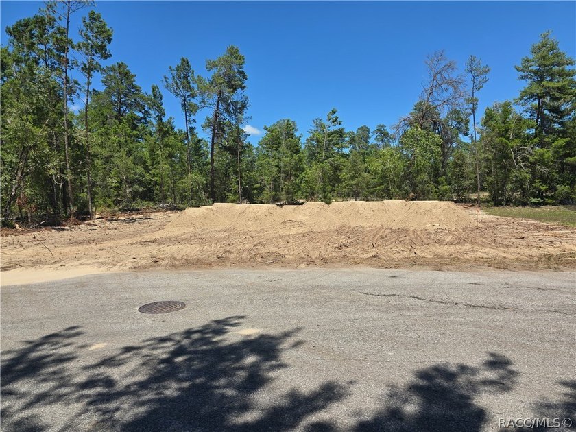 This 2117 square foot home is located on a .28 acre lot and has - photo 2