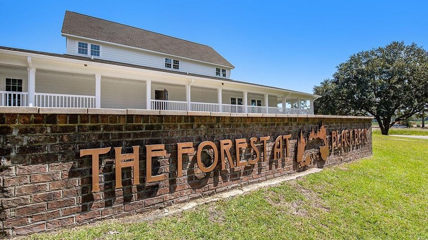 Stunning 4-Bedroom, 3-Bathroom Two-Story Home with Incredible - photo 35