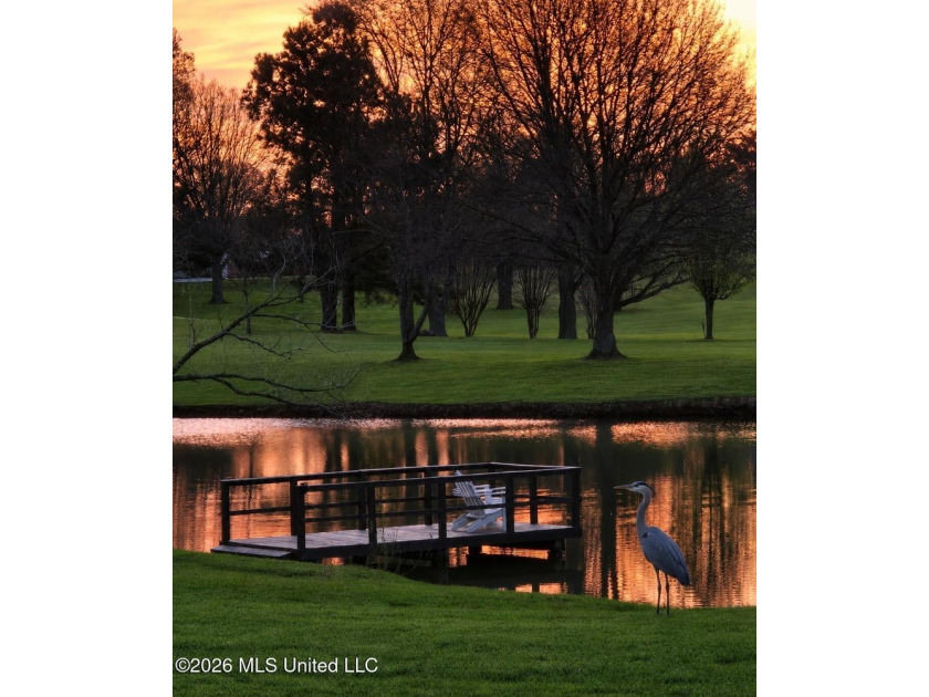 Rarely does a property offer this combination of acreage - photo 3