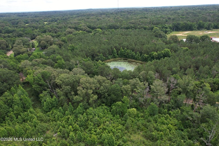 This 53+/- acre tract offers a beautiful combination of mature - photo 2