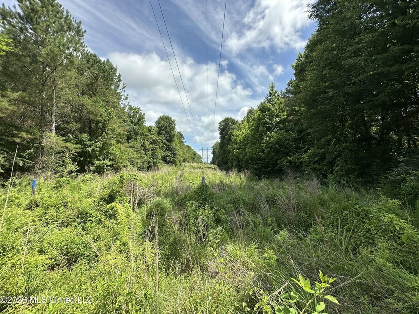 This 53+/- acre tract offers a beautiful combination of mature - photo 3