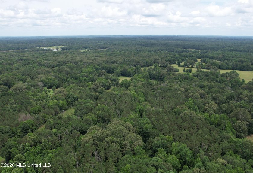 This 53+/- acre tract offers a beautiful combination of mature - photo 5