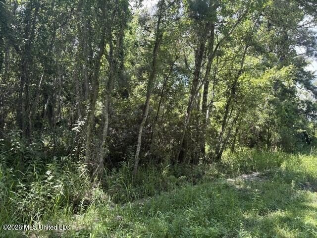 3 Lots on Juanita Street in Ocean Beach Estates in Ocean Springs - photo 2