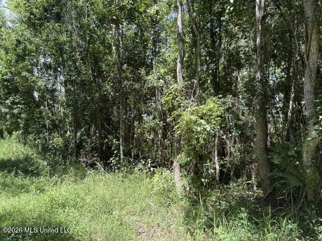 3 Lots on Juanita Street in Ocean Beach Estates in Ocean Springs - photo 3