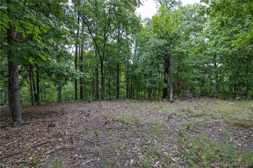 7.24 Acres in English Gardens offering lake access via boat ramp - photo 6