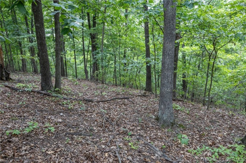 7.24 Acres in English Gardens offering lake access via boat ramp - photo 7