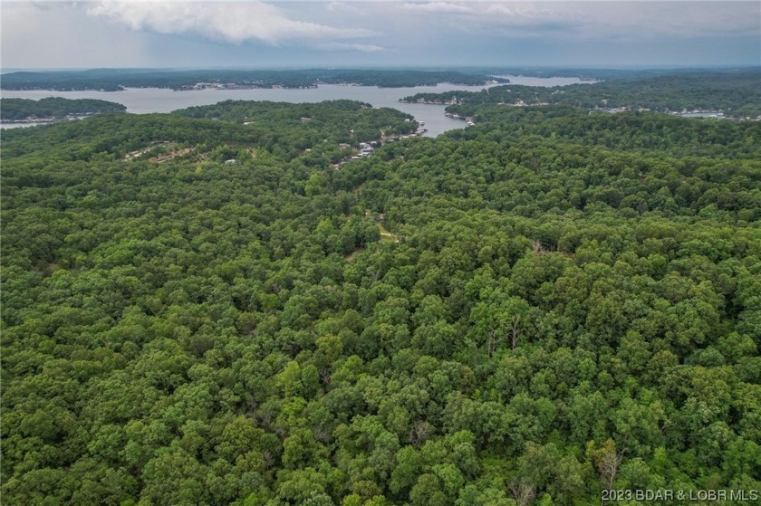 7.24 Acres in English Gardens offering lake access via boat ramp - photo 9