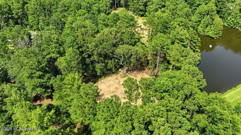 3-acre waterfront lot in Spring Brook Farms, located just off - photo 4