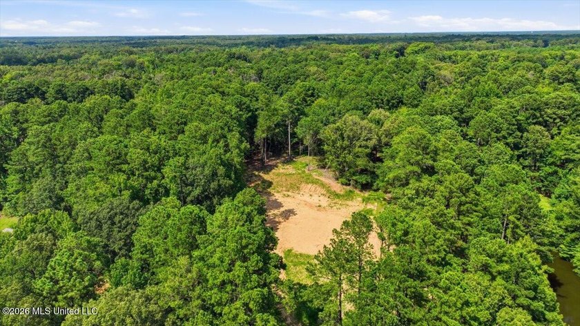 3-acre waterfront lot in Spring Brook Farms, located just off - photo 5