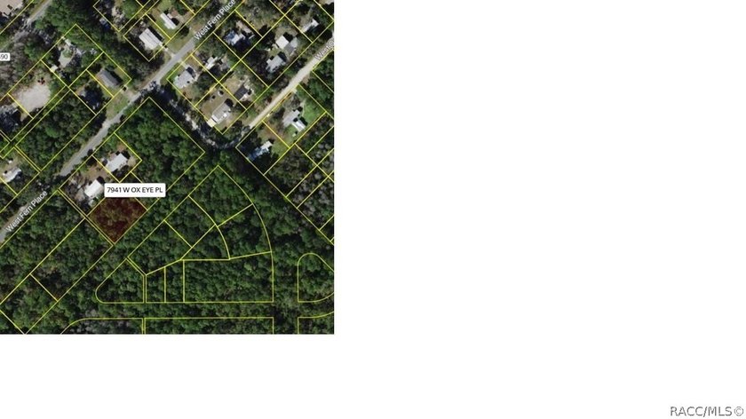 Nestled in the heart of Homosassa, this 0.39-acre homesite - photo 2