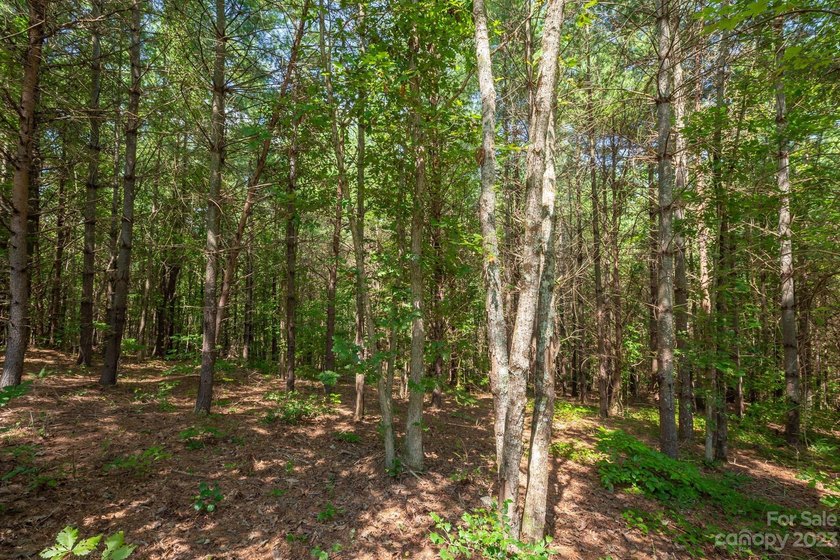 Come see this great wooded homesite in Hawksbill at Lake James - photo 6