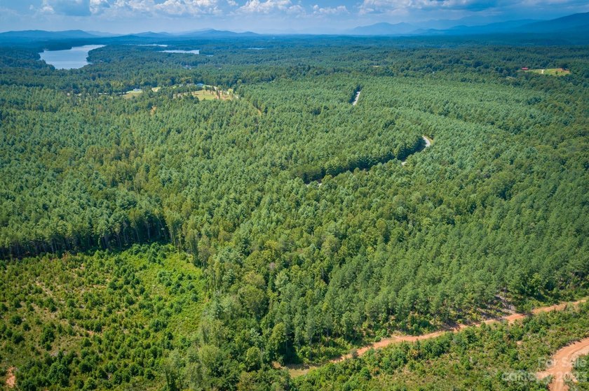 Come see this great wooded homesite in Hawksbill at Lake James - photo 2