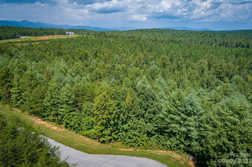 Come see this great wooded homesite in Hawksbill at Lake James - photo 4
