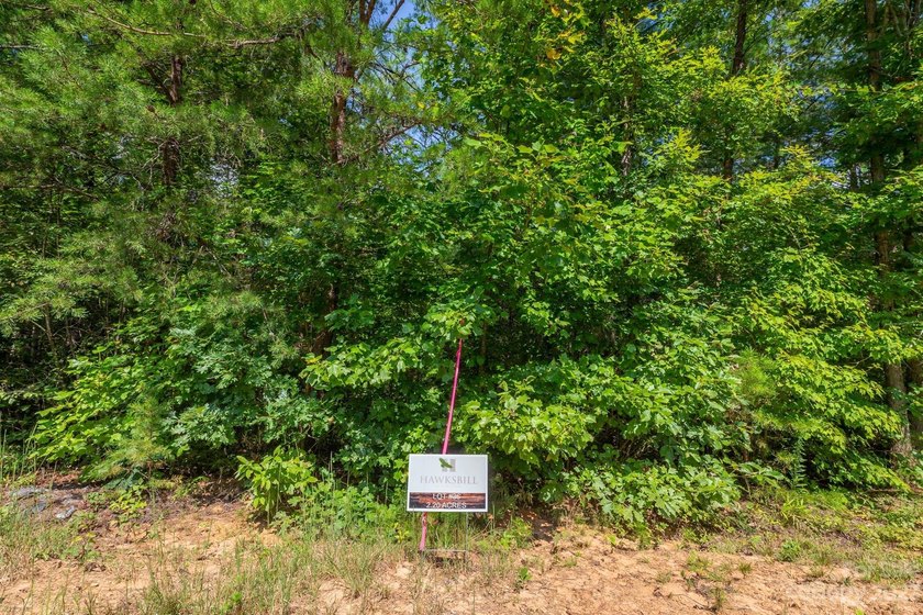 Come see this great wooded homesite in Hawksbill at Lake James - photo 5