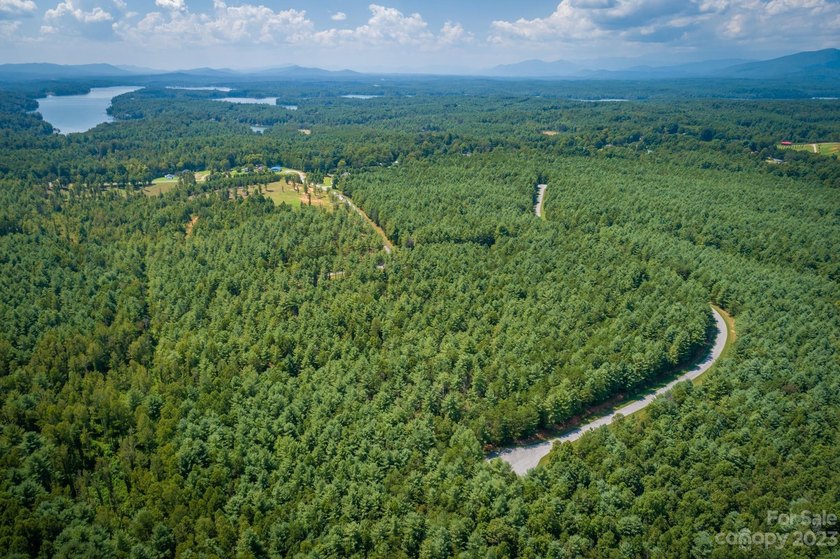 Come see this great wooded homesite in Hawksbill at Lake James - photo 3