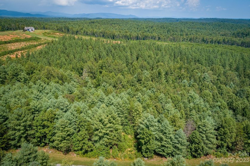 Come see this great wooded homesite in Hawksbill at Lake James - photo 4