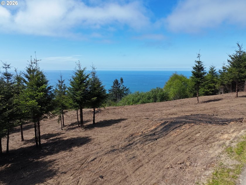 Exceptional opportunity to own 1.38 acres in Brookings, perched - photo 4