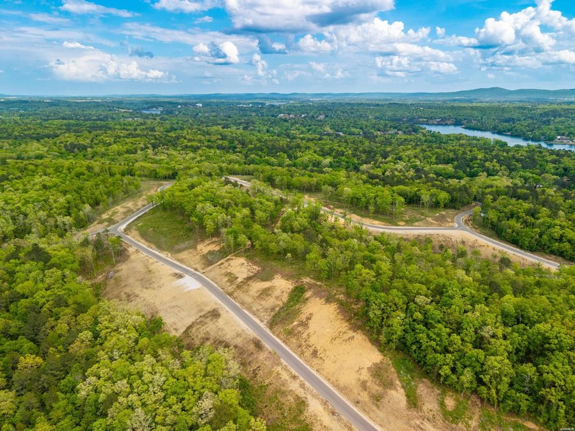 Exceptional 2.9 acre homesite in Rocky Point Estates, a new - photo 10