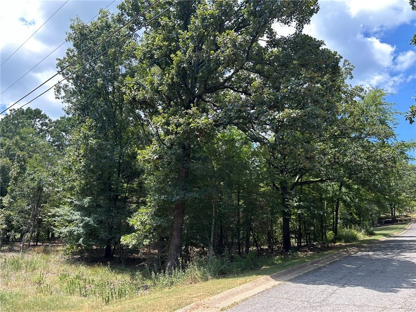 Discover the enduring appeal of 61 Abbey RD, Russellville - photo 6