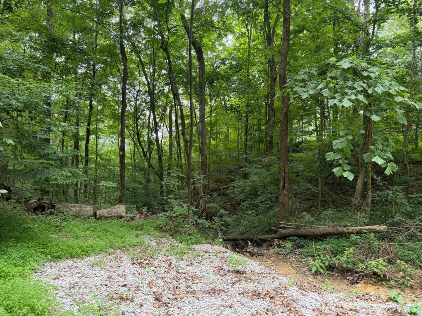 Discover your lakeside retreat on this exceptional 0.54+/- acre - photo 11