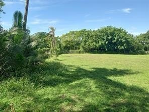 SMALL CHURCH ON 1.75 ACRAE FOR SALE FRUIT TREE AND MORE CHURCH - photo 3