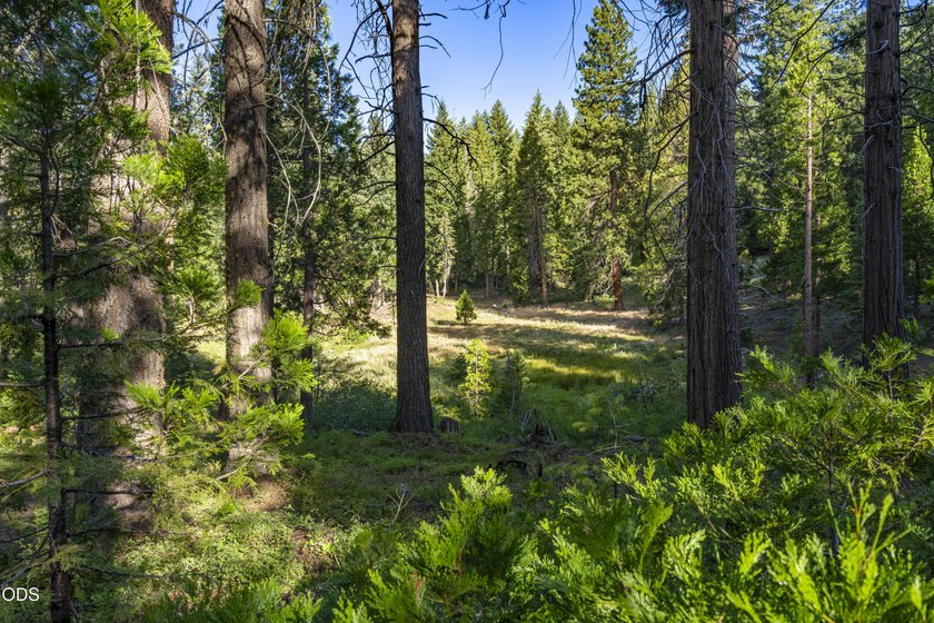 The Four Corners Ranch offers 897.32 acres of productive - photo 22