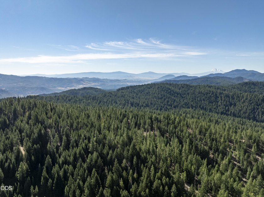 The Four Corners Ranch offers 897.32 acres of productive - photo 23