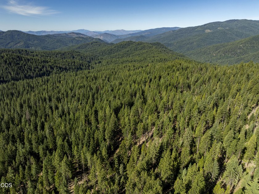 The Four Corners Ranch offers 897.32 acres of productive - photo 25