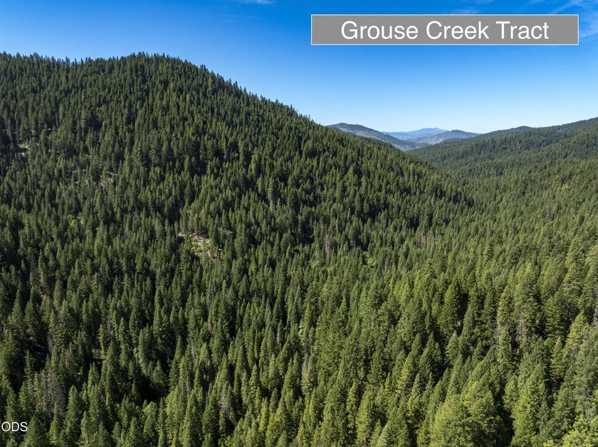 The Four Corners Ranch offers 897.32 acres of productive - photo 42