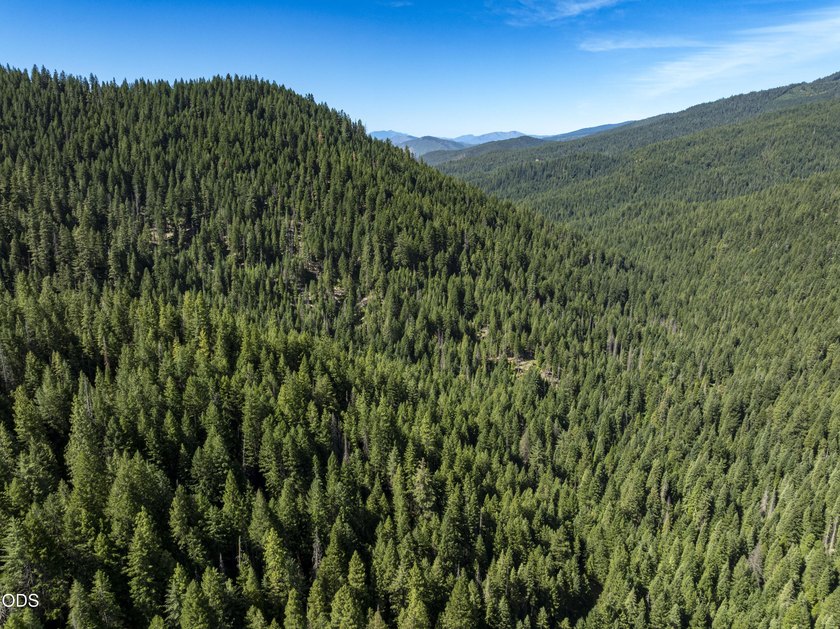 The Four Corners Ranch offers 897.32 acres of productive - photo 50