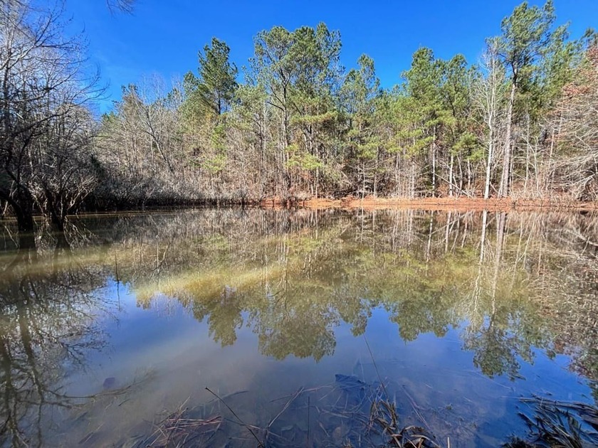 This secluded hunting, recreation and timberland investment - photo 12
