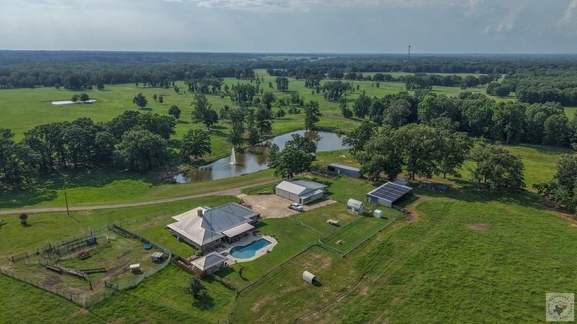 Situated on approximately 160.5 acres in Titus County, Texas - photo 35