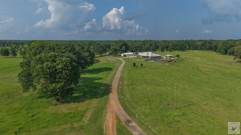 Situated on approximately 160.5 acres in Titus County, Texas - photo 38