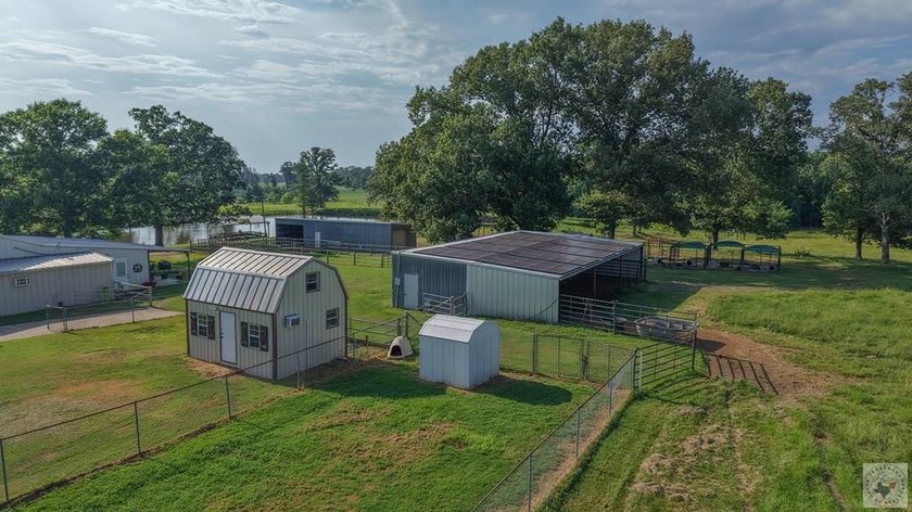 Situated on approximately 160.5 acres in Titus County, Texas - photo 45