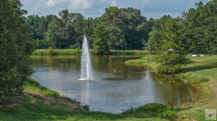 Situated on approximately 160.5 acres in Titus County, Texas - photo 49