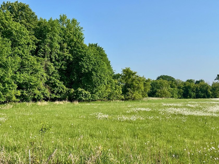 A rare find! 38 pristine organic acres located just 8 miles west - photo 12