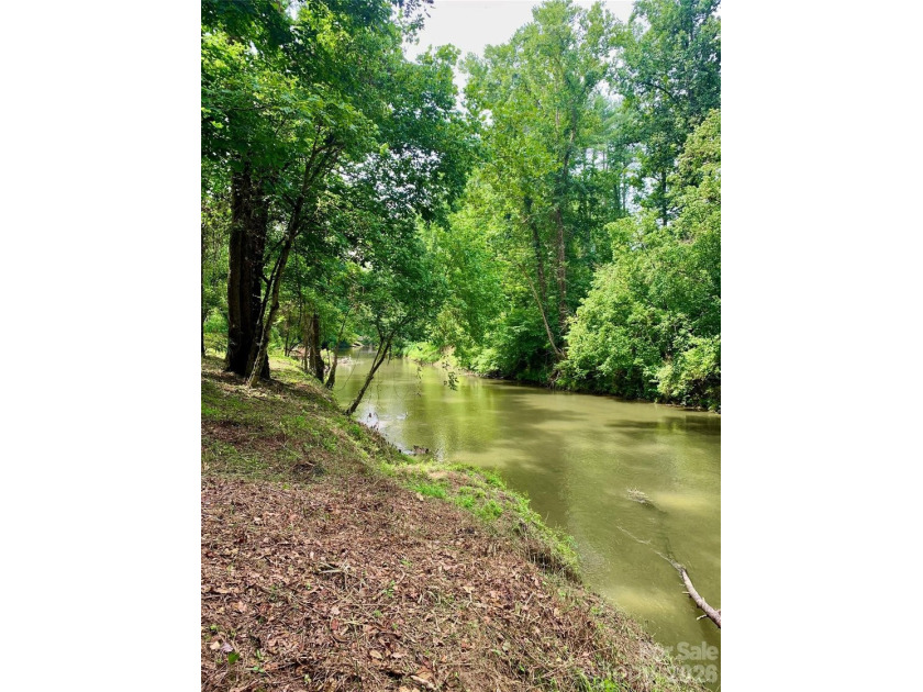 12+ acres with 1,000 ft of river frontage on the Johns River! - photo 3