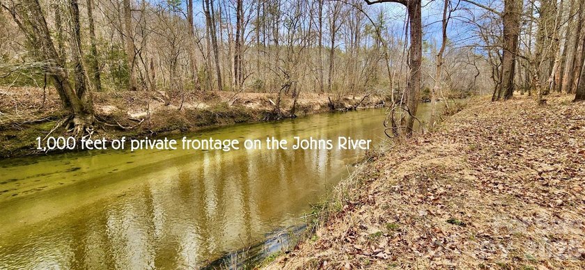 12+ acres with 1,000 ft of river frontage on the Johns River! - photo 4