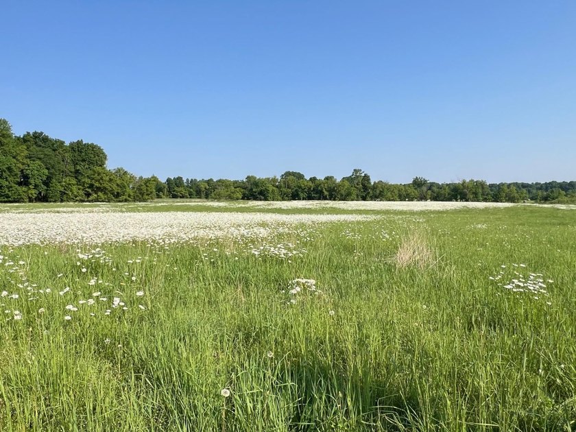 A rare find! 38 pristine organic acres located just 8 miles west - photo 14