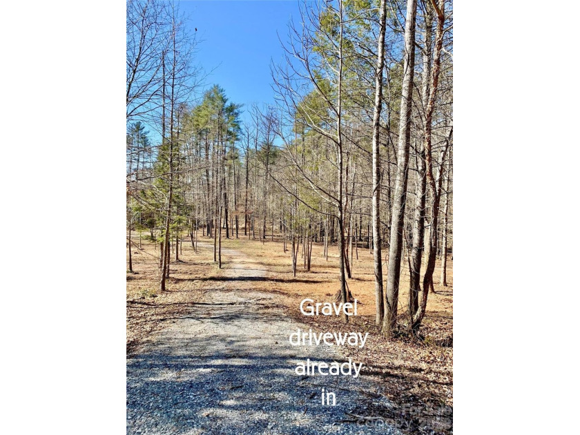 12+ acres with 1,000 ft of river frontage on the Johns River! - photo 5