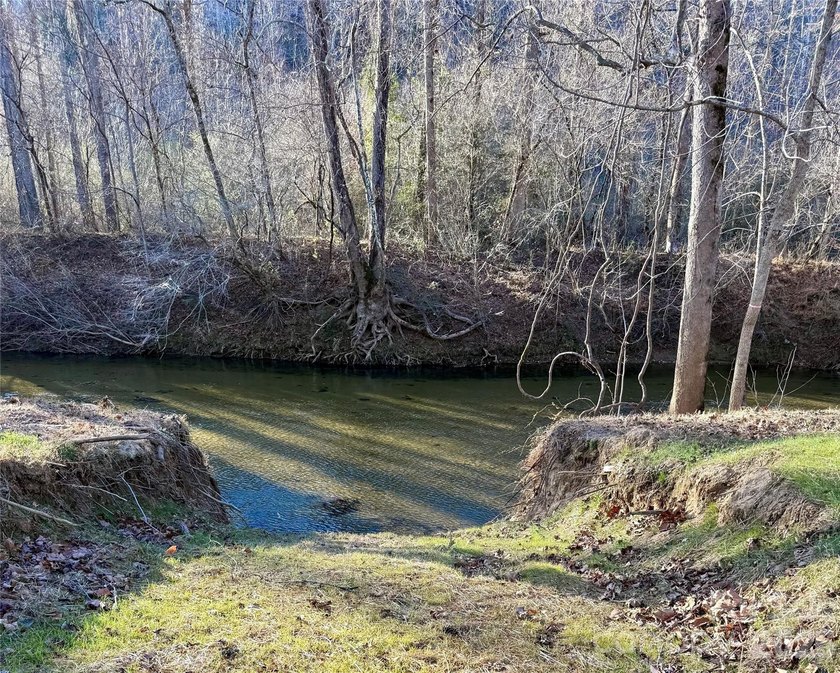 12+ acres with 1,000 ft of river frontage on the Johns River! - photo 6