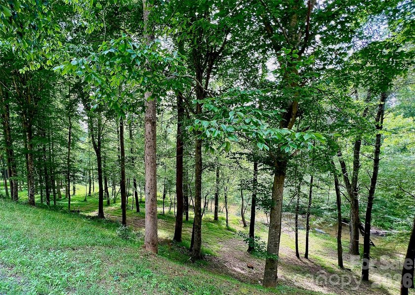 12+ acres with 1,000 ft of river frontage on the Johns River! - photo 9