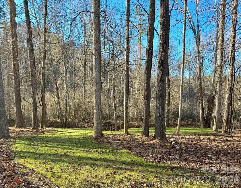 12+ acres with 1,000 ft of river frontage on the Johns River! - photo 10